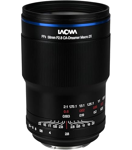 Amazon.com : Laowa 65mm f/2.8 2X Ultra Macro APO Lens for Sony E